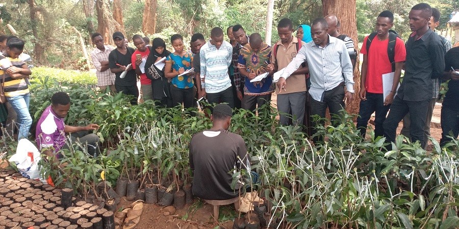 Experiential Learning for Silviculture TTSA TANZANIA 1