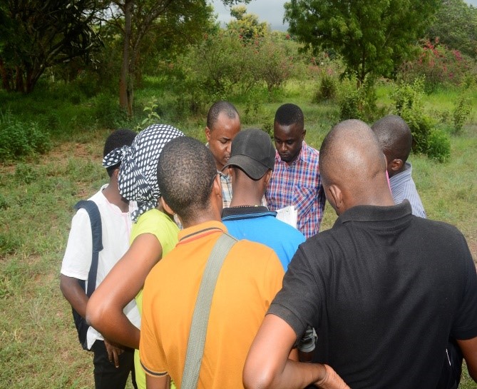 forest insect collection methods in Tanzania 1