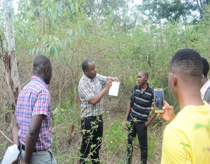 forest insect collection methods in Tanzania 2