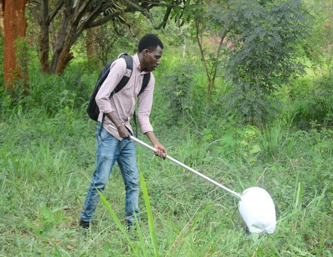 forest insect collection methods in Tanzania 3