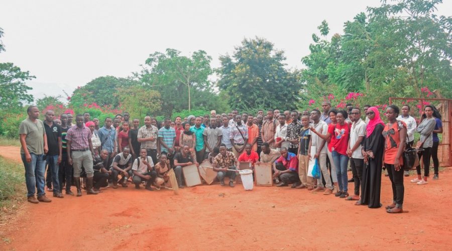 forest insect collection methods in Tanzania