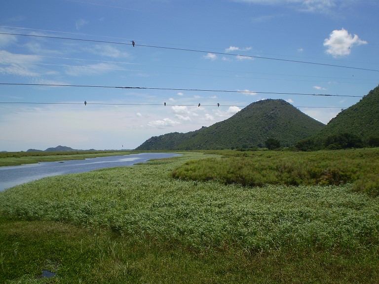 Ecosystem Services Wetlands Nile n Tanzania 2019