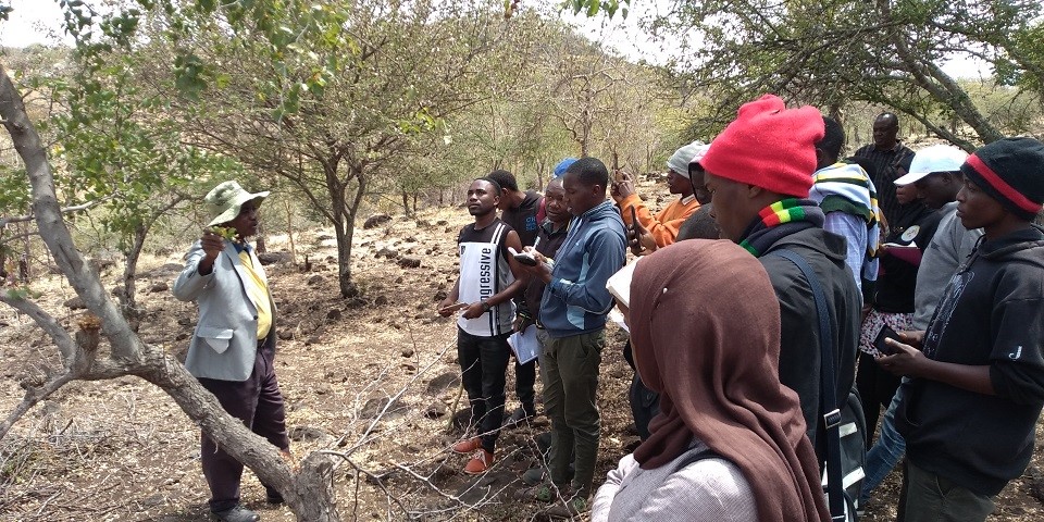 Botanist Mr. Mbuya 1st from left assist students in identifying tree species found in Haladali Plain Lemisingole