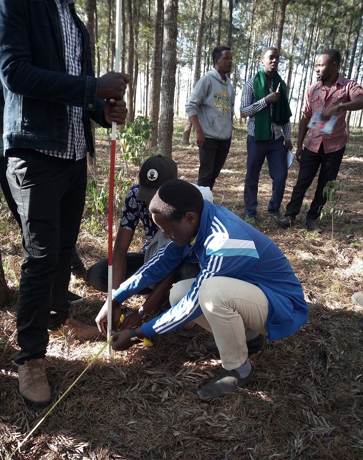 Students using various equipment to lay out a plot in the field for plant survey