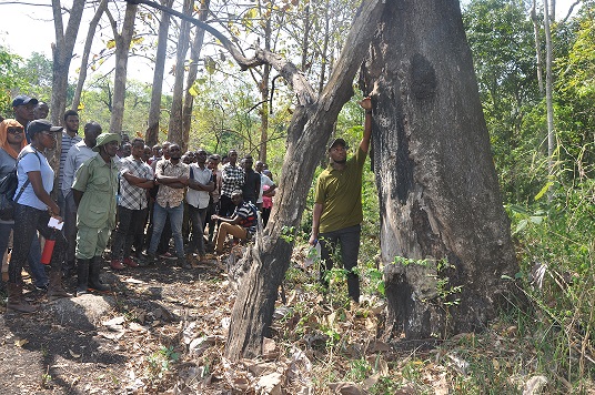 Field Practical Training in Forest protection and Ecological restoration at Kimboza Forest Reserve 4