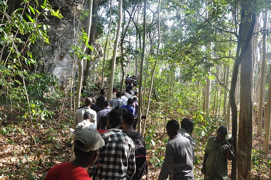 Field Practical Training in Forest protection and Ecological restoration at Kimboza Forest Reserve 5