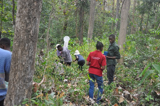 Field Practical Training in Forest protection and Ecological restoration at Kimboza Forest Reserve 8