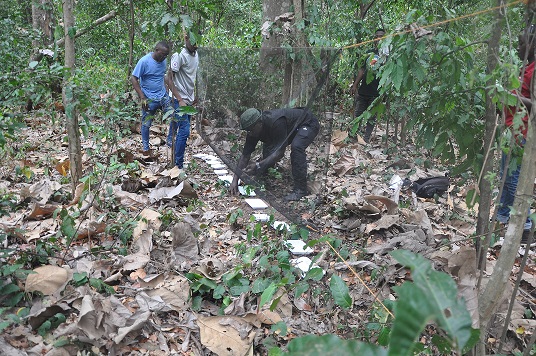 Field Practical Training in Forest protection and Ecological restoration at Kimboza Forest Reserve 9