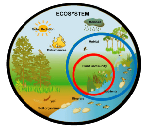 ecosystems and conservation