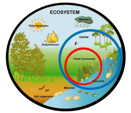 biome examples