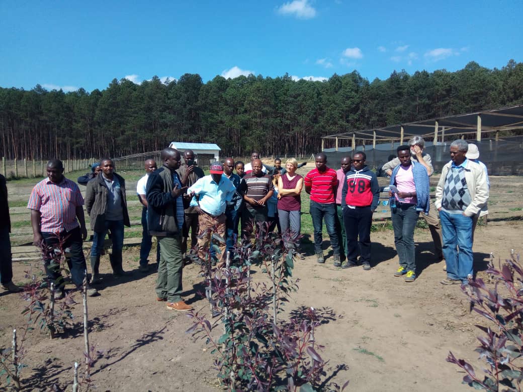 Wood Cluster Project Participants Visits Sao Hill Plantation