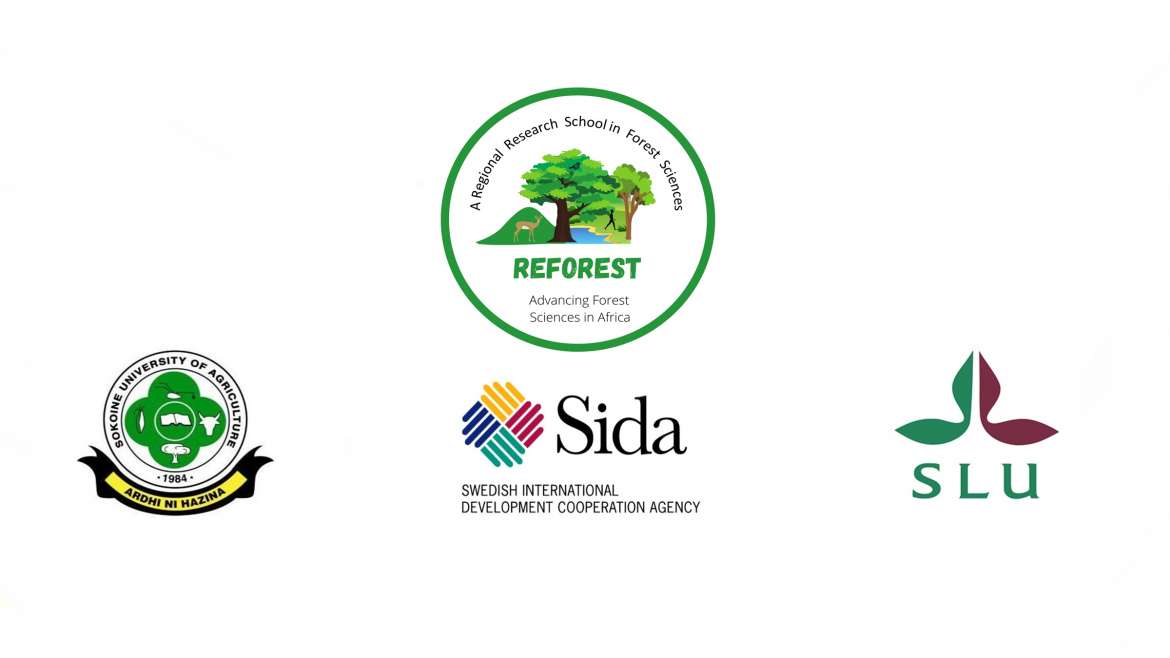 Shortlisted candidates for Reforest PhD scholarship interviews