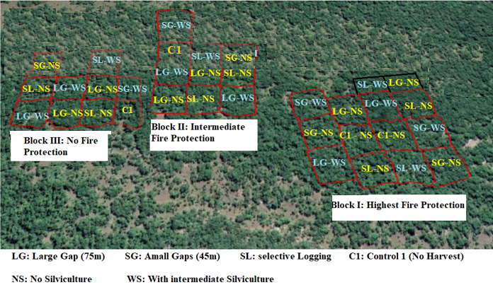 Sustainability of Miombo Management