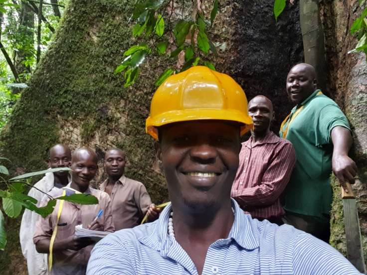 Understanding ecological processes of seed survival, seedling recruitment and tree recovery of commercial timber species in Budongo Tropical Rainforest