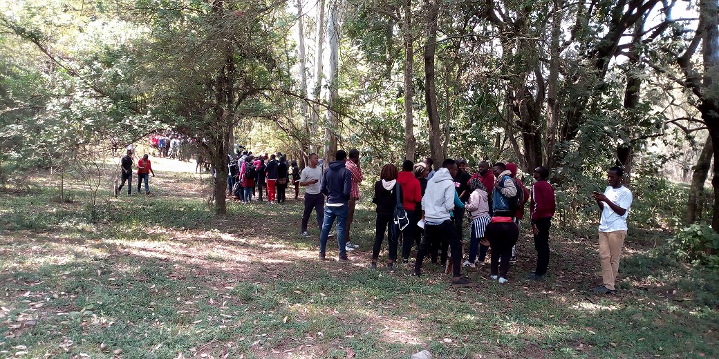 Identification and specimen collection at SUA Training Forest Arboretum