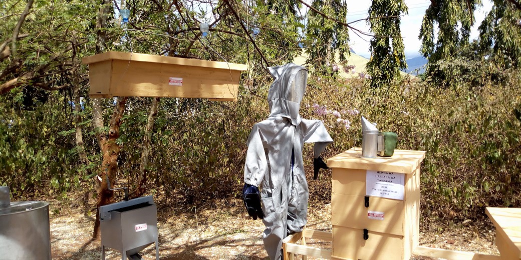 Demostration of beekeeping