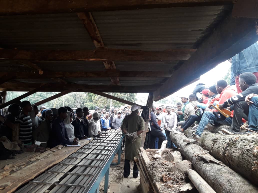 Wood Properties and Utilization and Saw milling 1