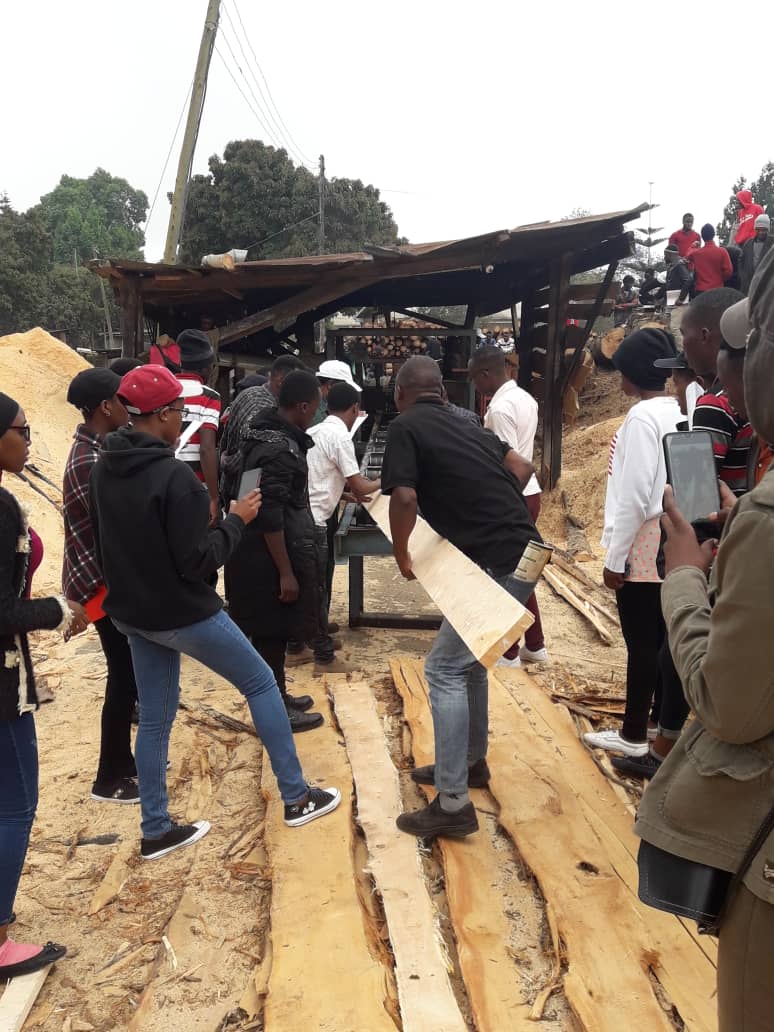Wood Properties and Utilization and Saw milling 4